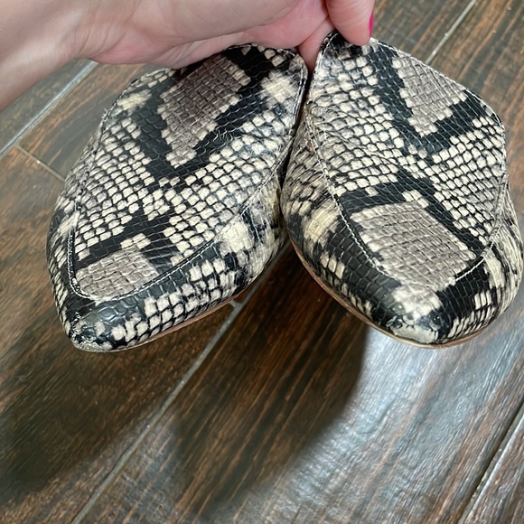 Snake print mules - Picture 4 of 4